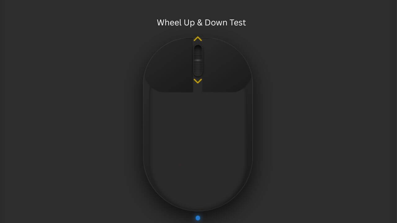 Step-by-step mouse testing guide